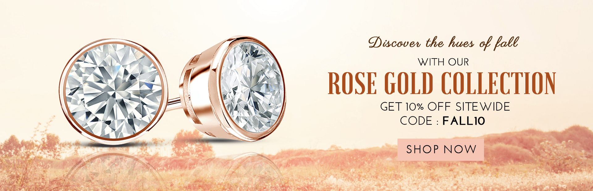 Diamond Studs, Diamond Stud Earrings at